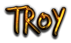 TROY Logo Style