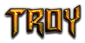 TROY Logo Style