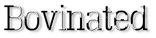 Rendered Image