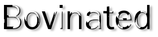 Rendered Image