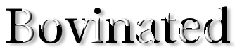 Rendered Image