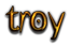 TROY Logo Style