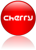 Rendered Image