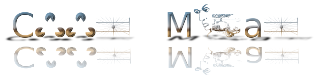 Rendered Image