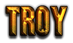 TROY Logo Style