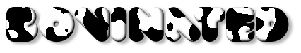 Rendered Image