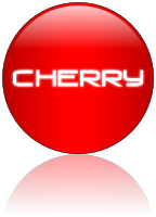 Rendered Image