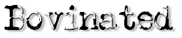 Rendered Image