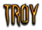 TROY Logo Style