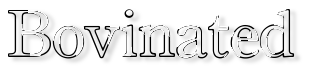 Rendered Image