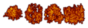 Rendered Image