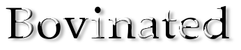 Rendered Image