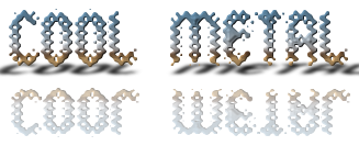 Rendered Image