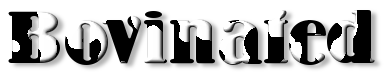 Rendered Image