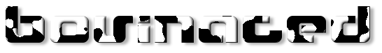 Rendered Image