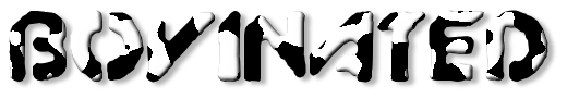 Rendered Image