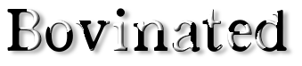 Rendered Image