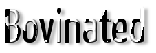 Rendered Image