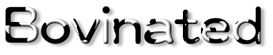 Rendered Image