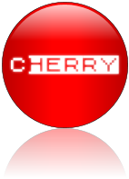 Rendered Image