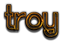 TROY Logo Style