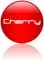 Rendered Image