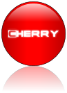 Rendered Image