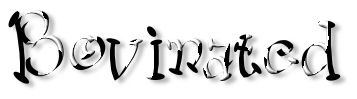 Rendered Image
