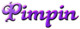Pimpin Logo Style